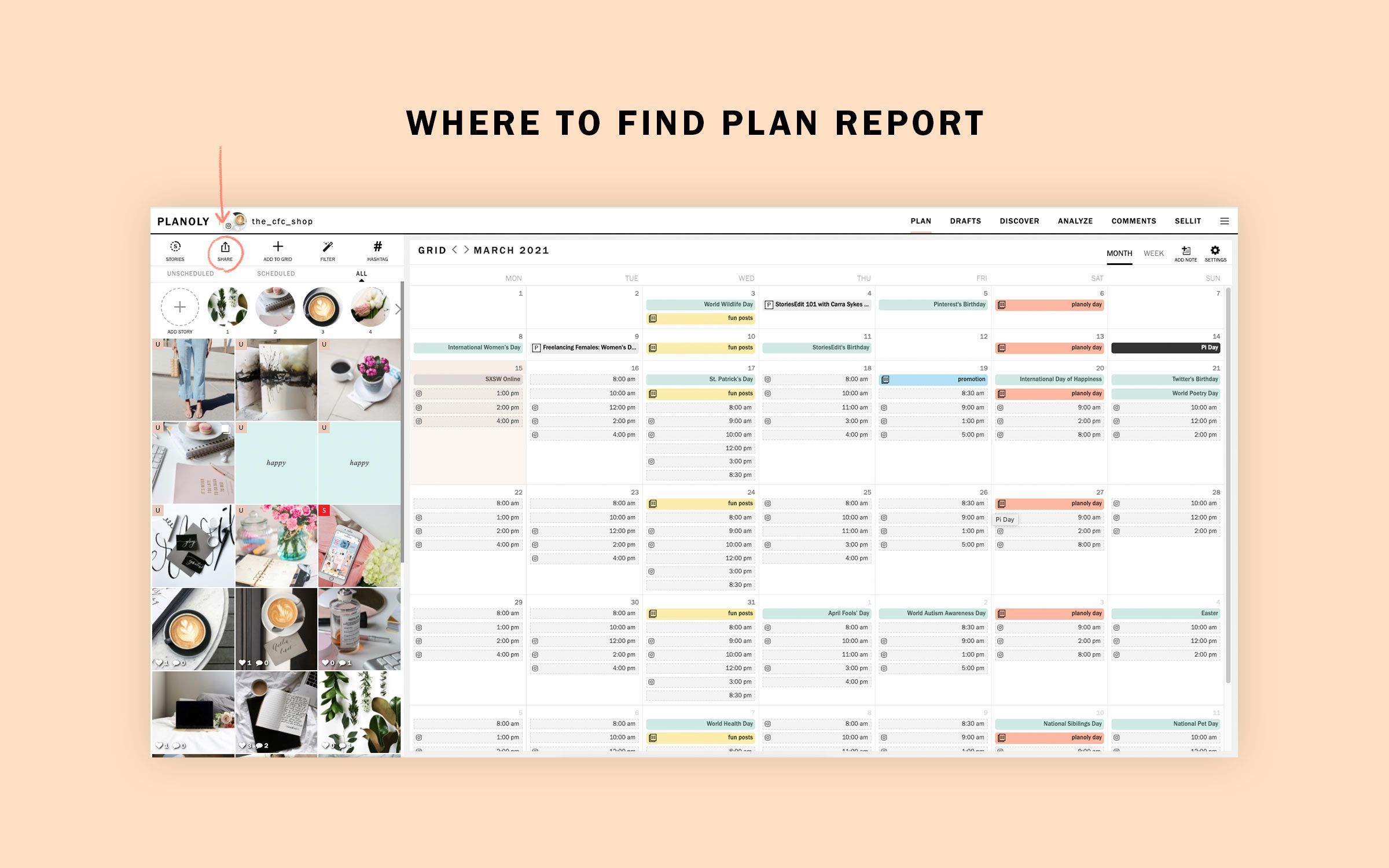 PLANOLY - Blog Refresh - Horizontal Yellow